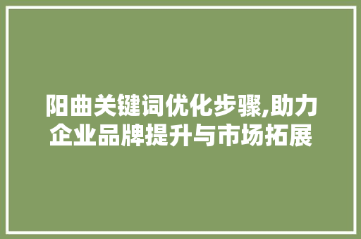 阳曲关键词优化步骤,助力企业品牌提升与市场拓展