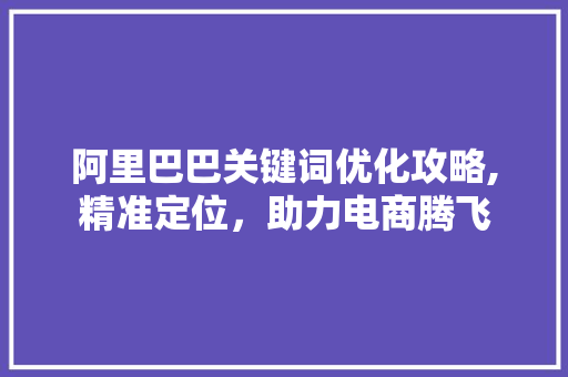 阿里巴巴关键词优化攻略,精准定位，助力电商腾飞