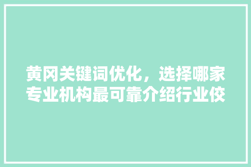 黄冈关键词优化，选择哪家专业机构最可靠介绍行业佼佼者！