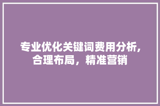 专业优化关键词费用分析,合理布局，精准营销  第1张