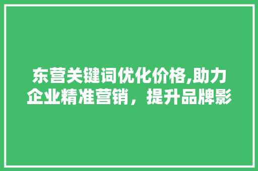 东营关键词优化价格,助力企业精准营销，提升品牌影响力