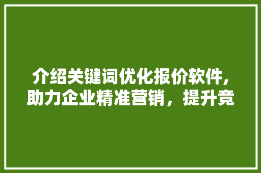 介绍关键词优化报价软件,助力企业精准营销，提升竞争力