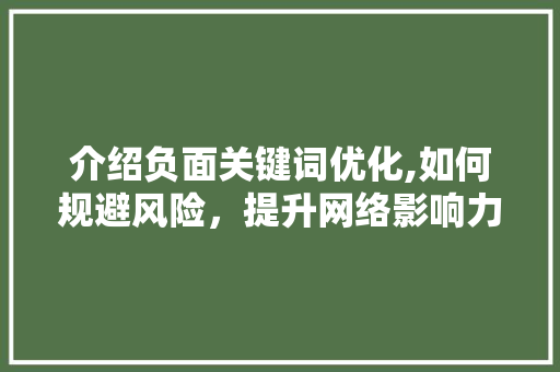 介绍负面关键词优化,如何规避风险，提升网络影响力