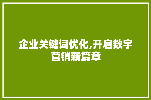 企业关键词优化,开启数字营销新篇章