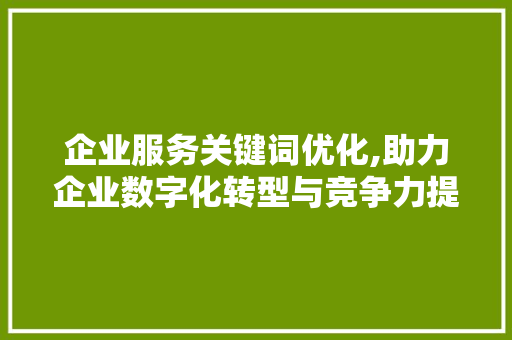 企业服务关键词优化,助力企业数字化转型与竞争力提升  第1张