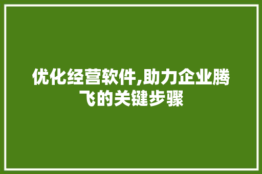优化经营软件,助力企业腾飞的关键步骤  第1张