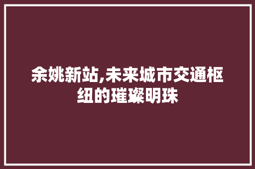 余姚新站,未来城市交通枢纽的璀璨明珠
