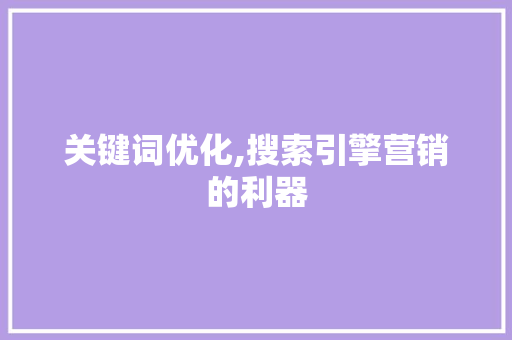 关键词优化,搜索引擎营销的利器