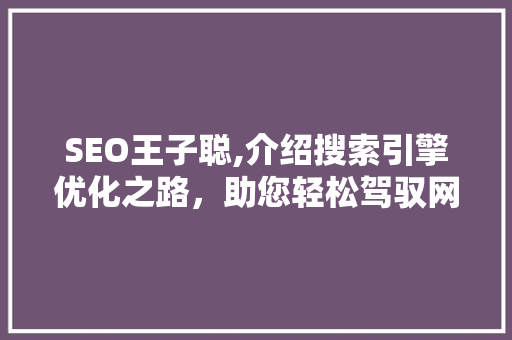 SEO王子聪,介绍搜索引擎优化之路，助您轻松驾驭网络流量