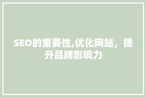 SEO的重要性,优化网站，提升品牌影响力  第1张