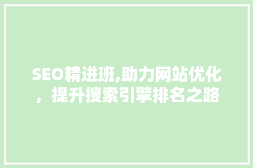 SEO精进班,助力网站优化，提升搜索引擎排名之路