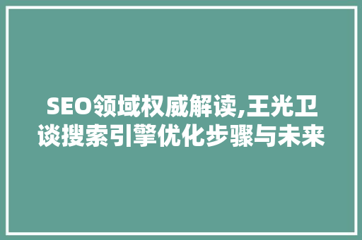 SEO领域权威解读,王光卫谈搜索引擎优化步骤与未来趋势