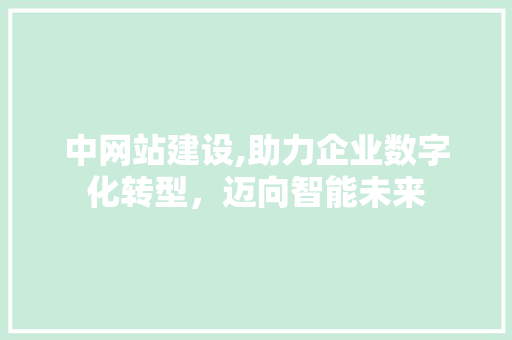 中网站建设,助力企业数字化转型，迈向智能未来