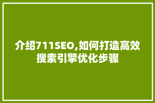 介绍711SEO,如何打造高效搜索引擎优化步骤