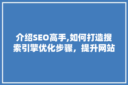 介绍SEO高手,如何打造搜索引擎优化步骤，提升网站排名