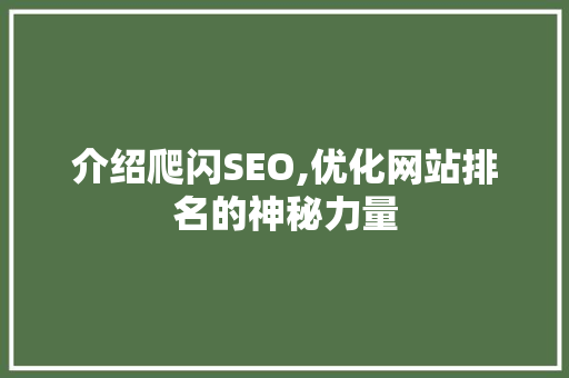 介绍爬闪SEO,优化网站排名的神秘力量  第1张