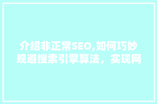 介绍非正常SEO,如何巧妙规避搜索引擎算法，实现网站优化