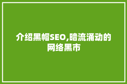 介绍黑帽SEO,暗流涌动的网络黑市