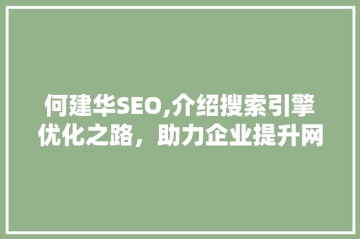 何建华SEO,介绍搜索引擎优化之路，助力企业提升网络影响力