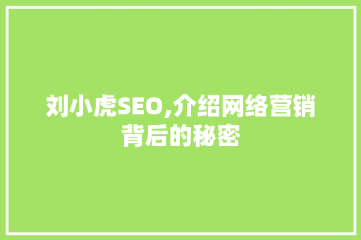 刘小虎SEO,介绍网络营销背后的秘密