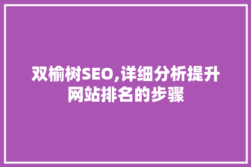 双榆树SEO,详细分析提升网站排名的步骤
