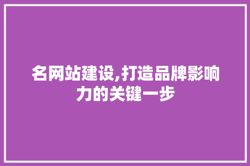 名网站建设,打造品牌影响力的关键一步