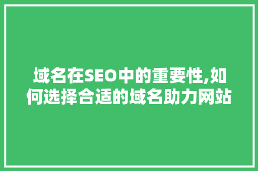 域名在SEO中的重要性,如何选择合适的域名助力网站优化