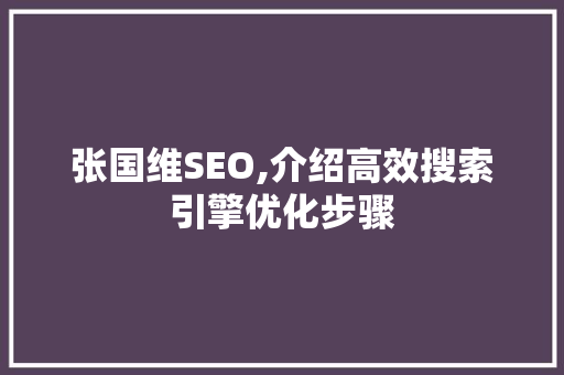 张国维SEO,介绍高效搜索引擎优化步骤  第1张