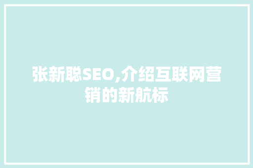 张新聪SEO,介绍互联网营销的新航标