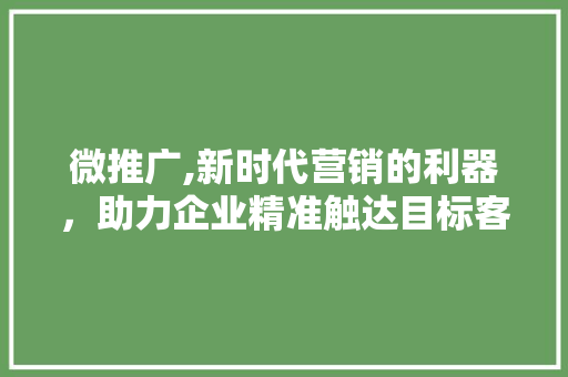 微推广,新时代营销的利器，助力企业精准触达目标客户  第1张