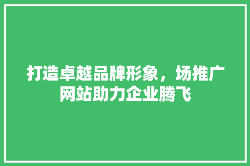 打造卓越品牌形象，场推广网站助力企业腾飞
