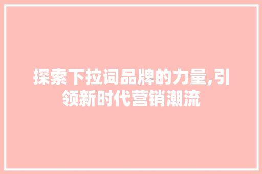 探索下拉词品牌的力量,引领新时代营销潮流