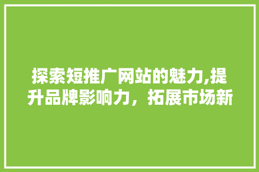 探索短推广网站的魅力,提升品牌影响力，拓展市场新机遇