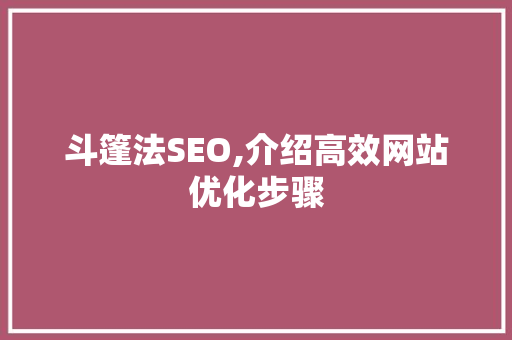 斗篷法SEO,介绍高效网站优化步骤