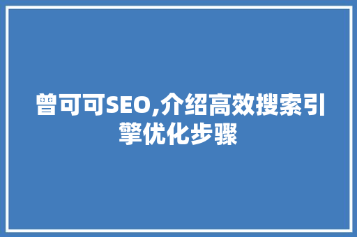 曾可可SEO,介绍高效搜索引擎优化步骤