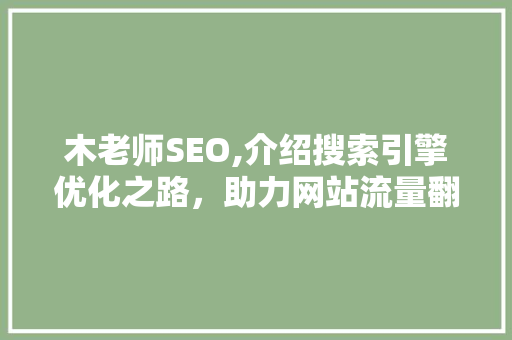 木老师SEO,介绍搜索引擎优化之路，助力网站流量翻倍