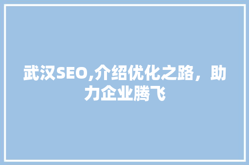武汉SEO,介绍优化之路，助力企业腾飞