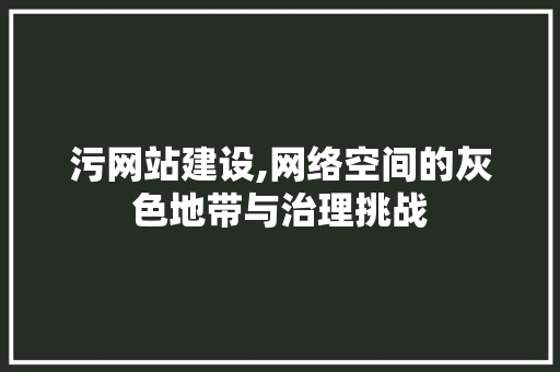 污网站建设,网络空间的灰色地带与治理挑战
