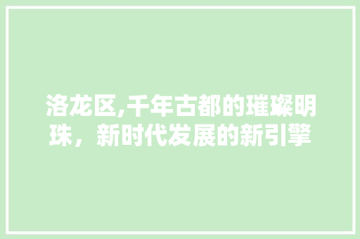 洛龙区,千年古都的璀璨明珠，新时代发展的新引擎