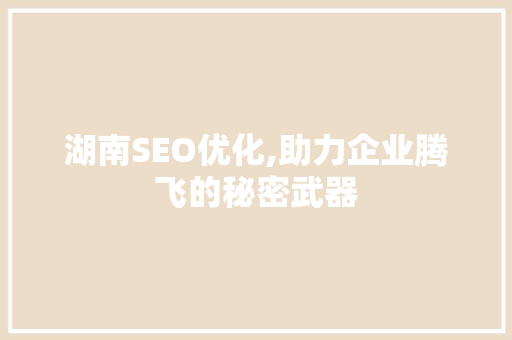 湖南SEO优化,助力企业腾飞的秘密武器