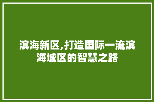 滨海新区,打造国际一流滨海城区的智慧之路