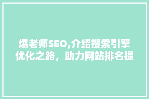 爆老师SEO,介绍搜索引擎优化之路，助力网站排名提升