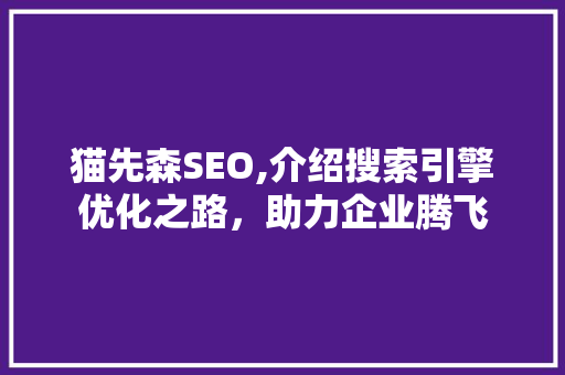 猫先森SEO,介绍搜索引擎优化之路，助力企业腾飞