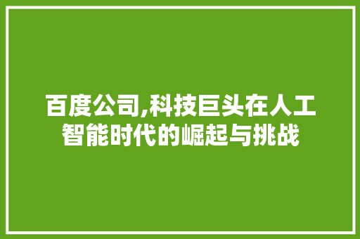 百度公司,科技巨头在人工智能时代的崛起与挑战