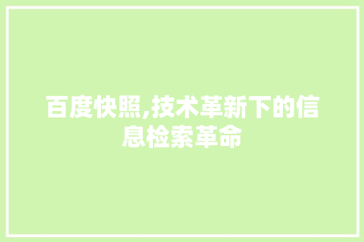 百度快照,技术革新下的信息检索革命