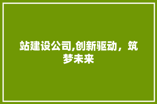 站建设公司,创新驱动，筑梦未来