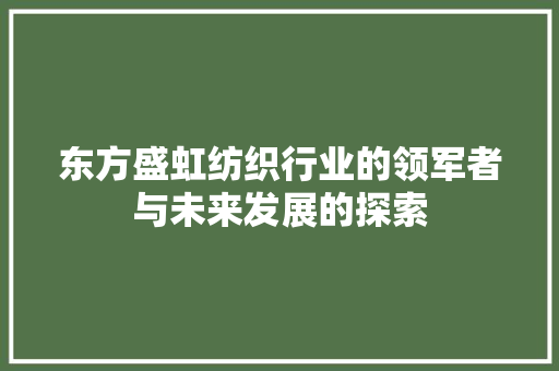 东方盛虹纺织行业的领军者与未来发展的探索
