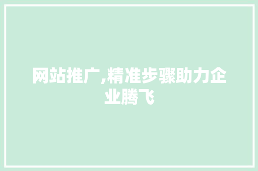 网站推广,精准步骤助力企业腾飞