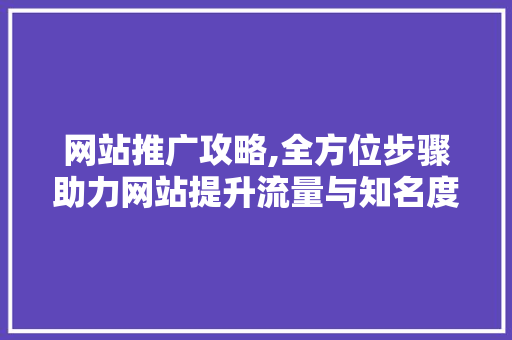 网站推广攻略,全方位步骤助力网站提升流量与知名度  第1张