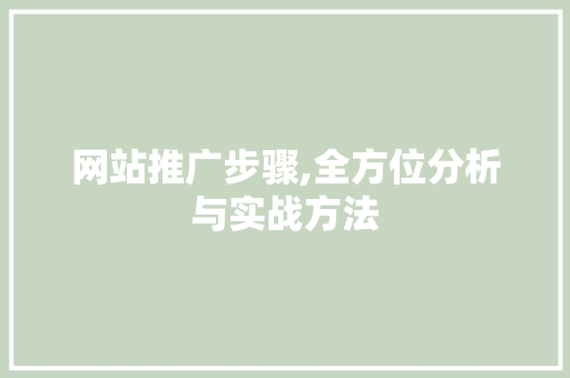 网站推广步骤,全方位分析与实战方法  第1张